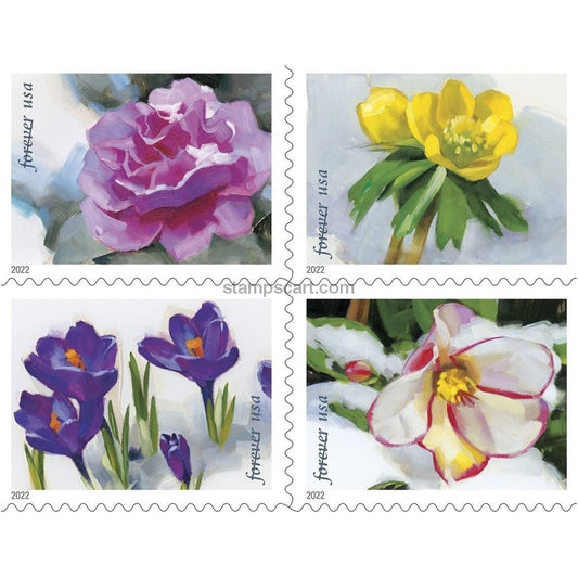 Snowy Beauty Stamps Bloom Forever 2022 First-Class Forever Postage Stamps 100pcs