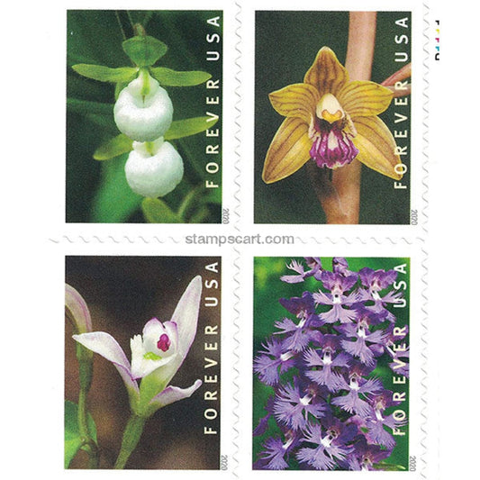 Wild Orchids (U.S. 2020) Forever Postage Stamps 100 pcs