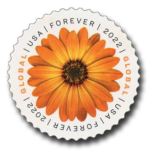 Global African Daisy Stamps International 2022  (40pcs)