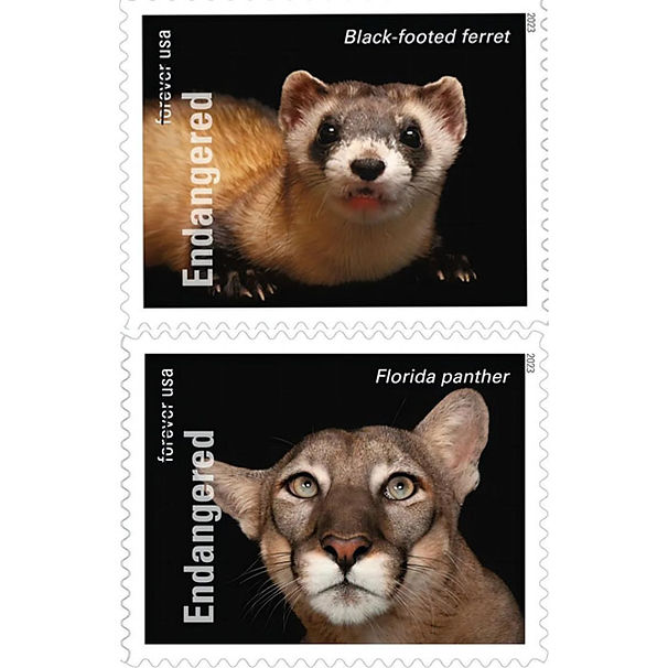 Endangered Species Stamps 2023 Forever Postage Stamps 100 pcs – stamps cart